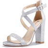 Silver Glitter
