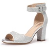 Silver Glitter