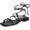 Black Pu